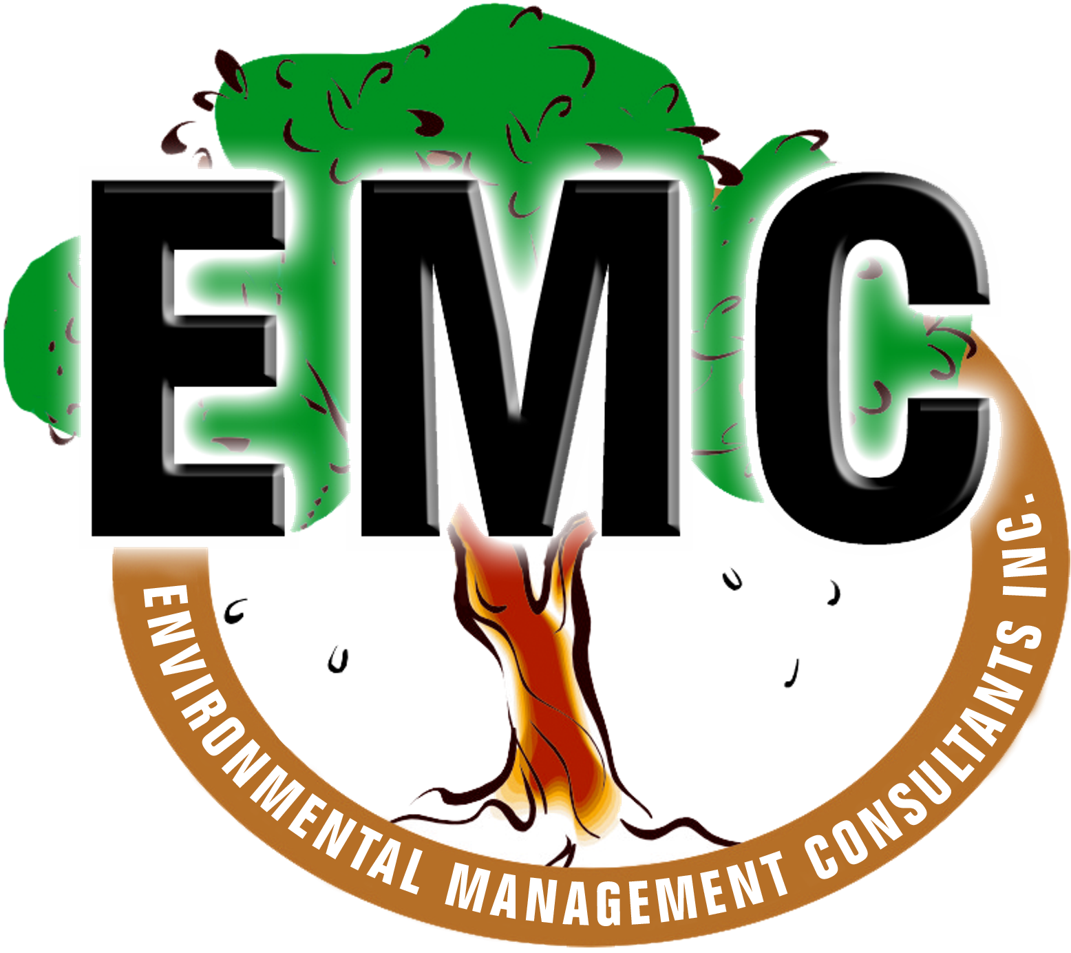 ENVIRONMENTAL MANAGEMENT CONSULTANTS